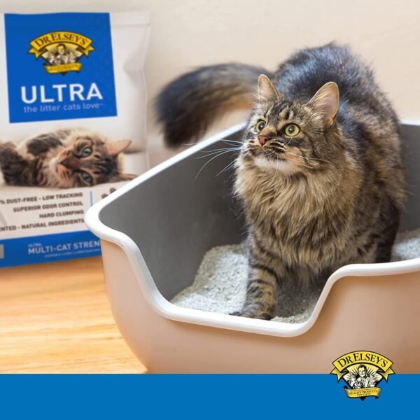 Precious Cat Dr. Elsey's Ultra Cat Litter, 18.14 kg