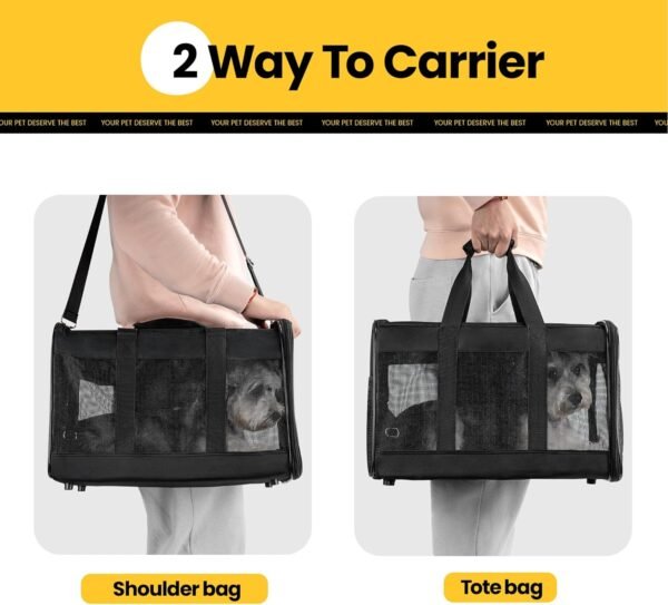 Conlun Cat Carrier Airline Approved, Soft-Sided Dog Carrier with Inner Safety Leash