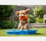 Smart Choice Rubber Dumbbell Dog Toy with Squeaker - Image 2