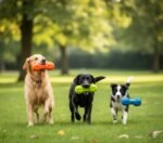 Smart Choice Rubber Dumbbell Dog Toy with Squeaker