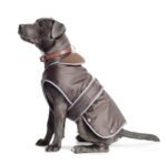 Ancol Storm guard Dog Coat – Walk in All Weathers (S/M, 30cm)