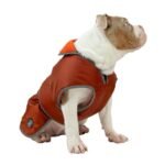 Ancol Storm guard Dog Coat – Walk in All Weathers (Medium 40cm)