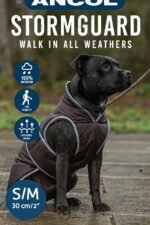 Ancol Storm guard Dog Coat – Walk in All Weathers (S/M, 30cm) - Image 4