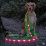 Nite Beams LED Dog Lead Leash with Flashlight – Light Up Pet Safety Night Walks - Image 5