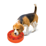 KONG Licks Slow Feeder Dog Bowl with Dual Lick Pad - Image 4