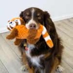 KONG Scramper Plush Dog Toy – Squeaky Interactive Soft Toy - Image 3