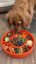 KONG Licks Slow Feeder Dog Bowl with Dual Lick Pad - Image 5