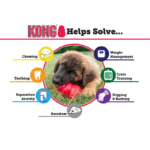 KONG Classic Rubber Dog Toy – Durable Treat Dispensing Chew Toy - Image 5